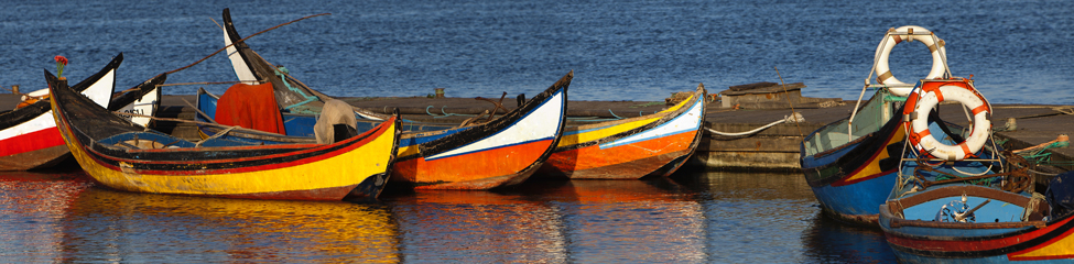 pano aveiro