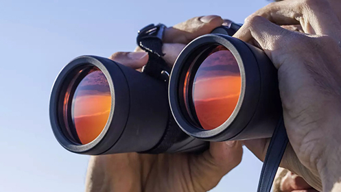 Prismáticos profesionales para la observación de aves